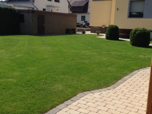 nachher